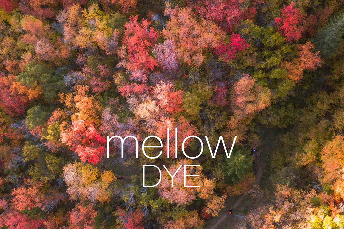 Mellow-dye-2-1200x800px