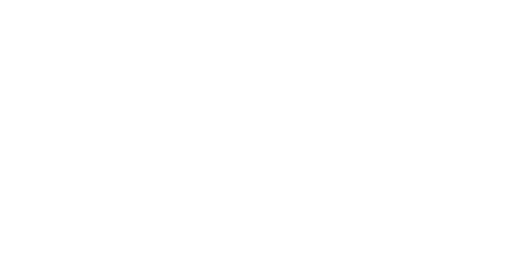 Logo pure indigo